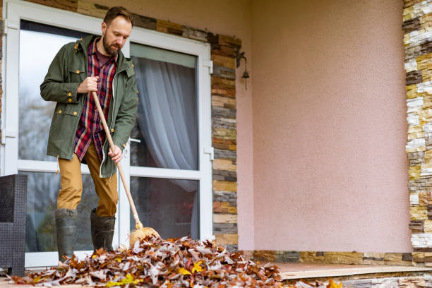 Basement Cleanout Services in Hockessin, DE